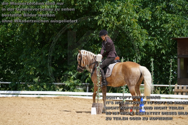 s_K3F06075.JPG